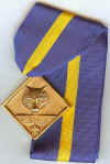 BSA Cub Scout Den Leader Training Award - Neck Style.jpg (94405 bytes)