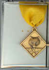 BSA Cub Scout Webelos Leader Training Award - Neck Style.jpg (73826 bytes)