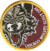 Chicago Wolves Scout Day a.jpg (86142 bytes)