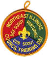 Council Training Day 2008.jpg (114748 bytes)