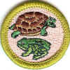 Reptile and Amphibian Study FE PB.jpg (127566 bytes)