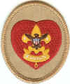 BSA Life Patch 10.jpg (58089 bytes)