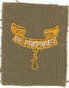 BSA Second Class Patch - Type 07A.jpg (120865 bytes)
