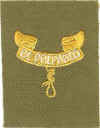 BSA Second Class Patch - Type 07C.jpg (58418 bytes)