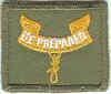 BSA Second Class Patch - Type 09B.jpg (94295 bytes)