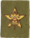 BSA Star Patch Type 10E-a.jpg (221155 bytes)