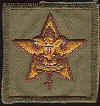 BSA Star Patch Type 11B.jpg (41574 bytes)