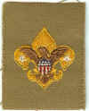 BSA Tenderfoot Patch Type 02-new.jpg (124582 bytes)