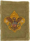 BSA Tenderfoot Patch Type 02.jpg (63549 bytes)