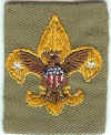 BSA Tenderfoot Patch Type 04.jpg (138060 bytes)