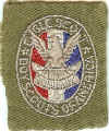 BSA Eagle Award Patch Type 03G - sewn.jpg (131392 bytes)