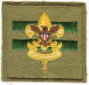 BSA Assistant Senior Patrol Leader X1.jpg (83172 bytes)