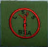 BSA Lone Scout.jpg (22020 bytes)